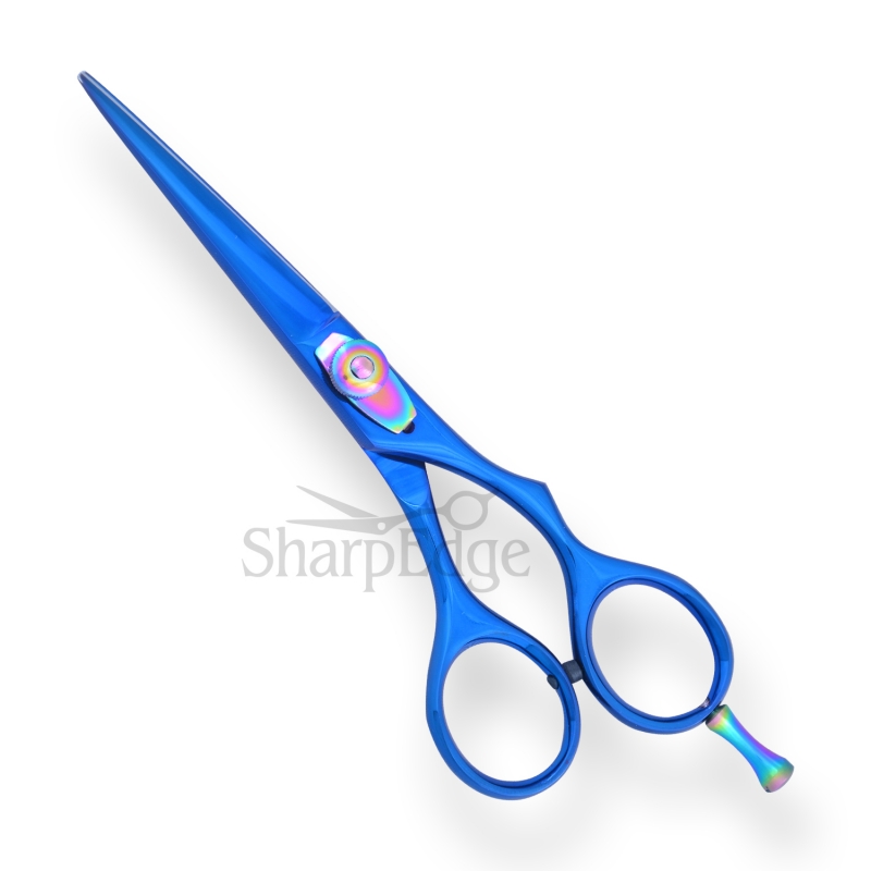 Professional Hair Dressing Scissors 